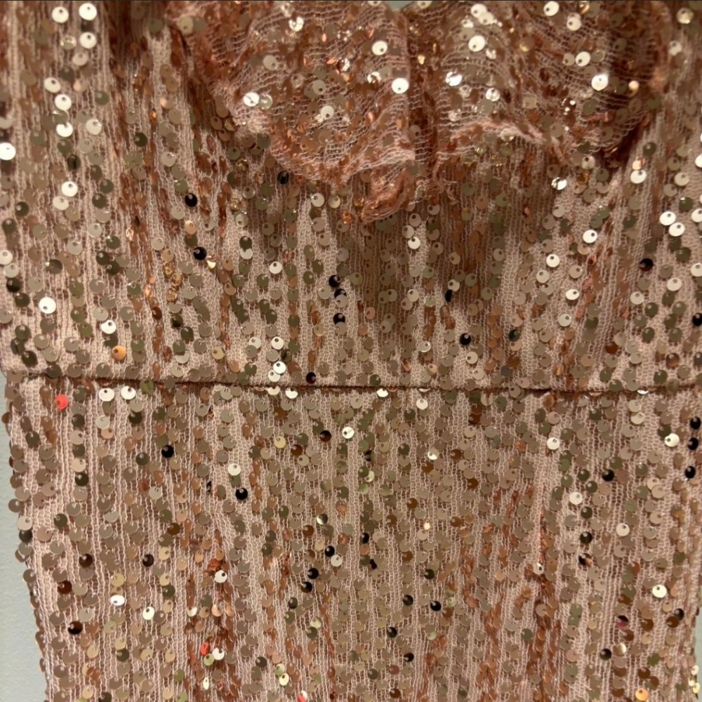 SELFIE LESLIE ROSE RUFFLE DRESS sz M - Picture 4 of 4